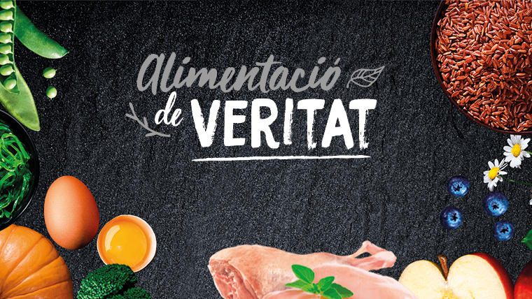 Slide 1 -  alimentació de veritat 