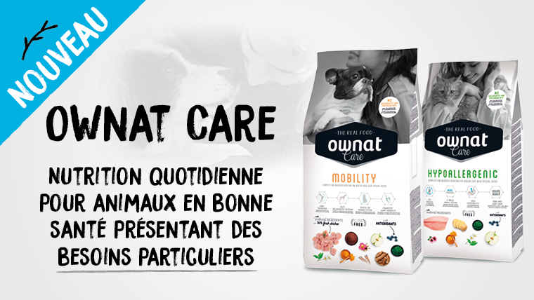 Chat | OWNAT