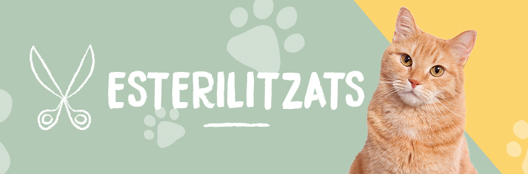 Esterilitzat