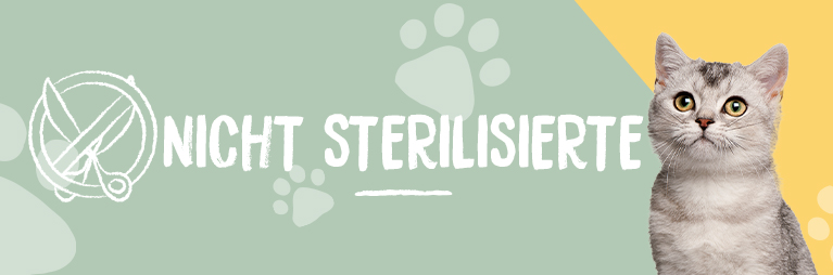 Nicht sterilisierte katzen