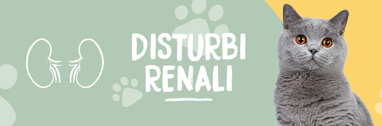 Disturbi renali