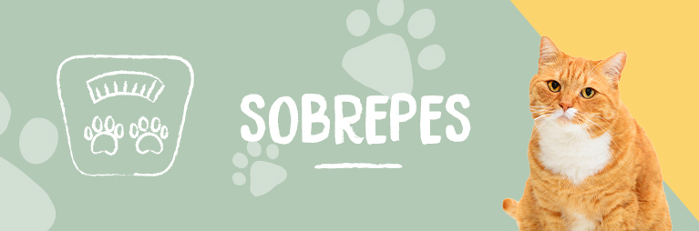 Sobrepès