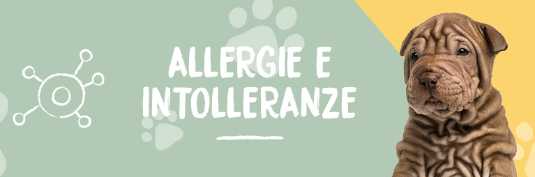Allergie e intolleranze alimentari