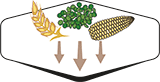 CARBOHIDRATOS BAJOS