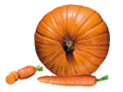 Kürbis und Karotten