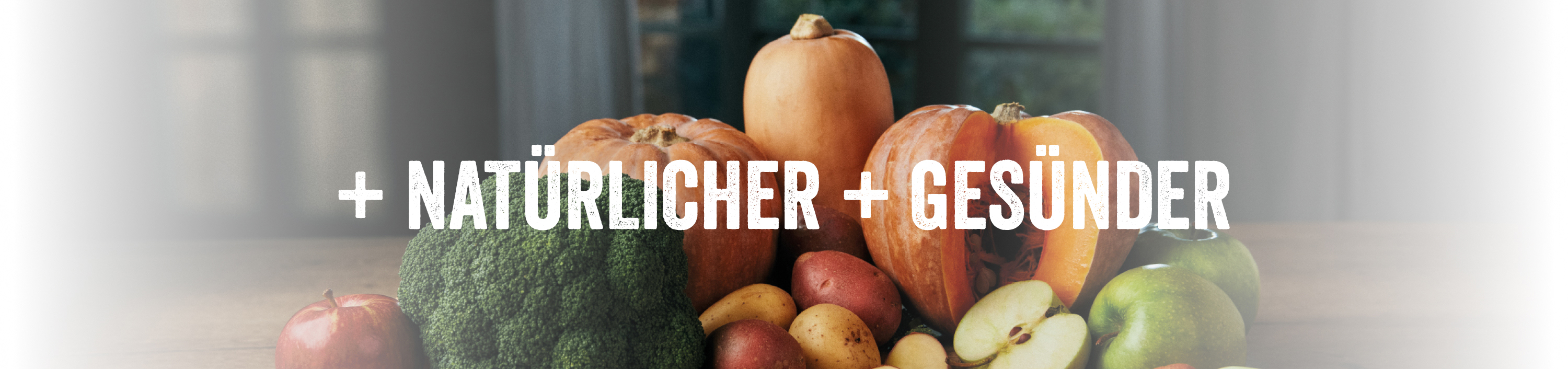 natural-saludable-banner