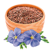 LINSEED