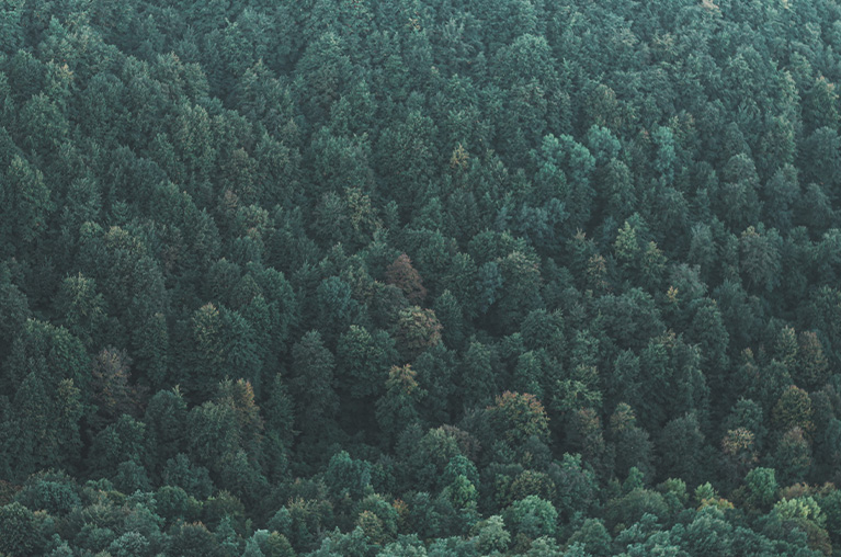 We are nature
