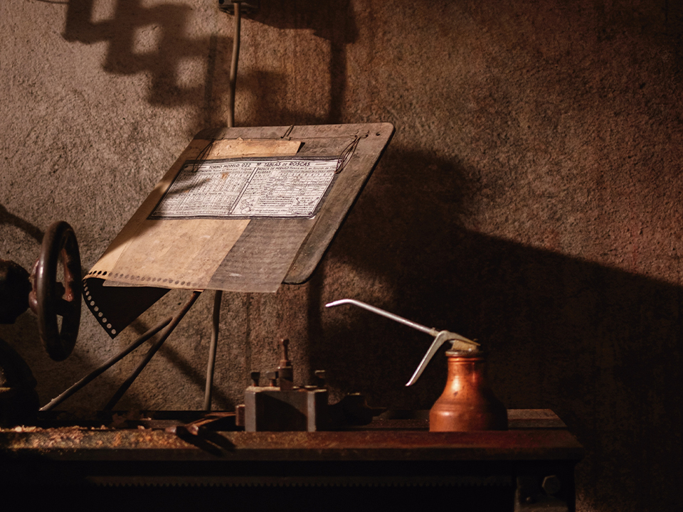 The story of our roots: a journey to the origins of Viefe