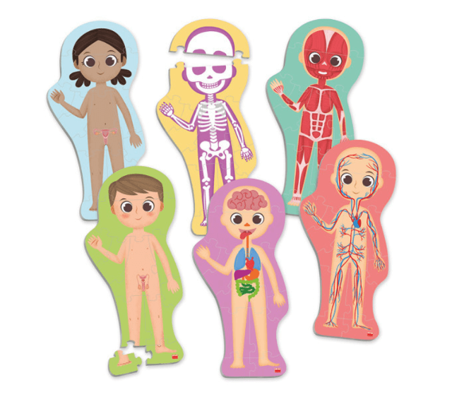 Maxi Puzle para descubrir e identificar el cuerpo humano
