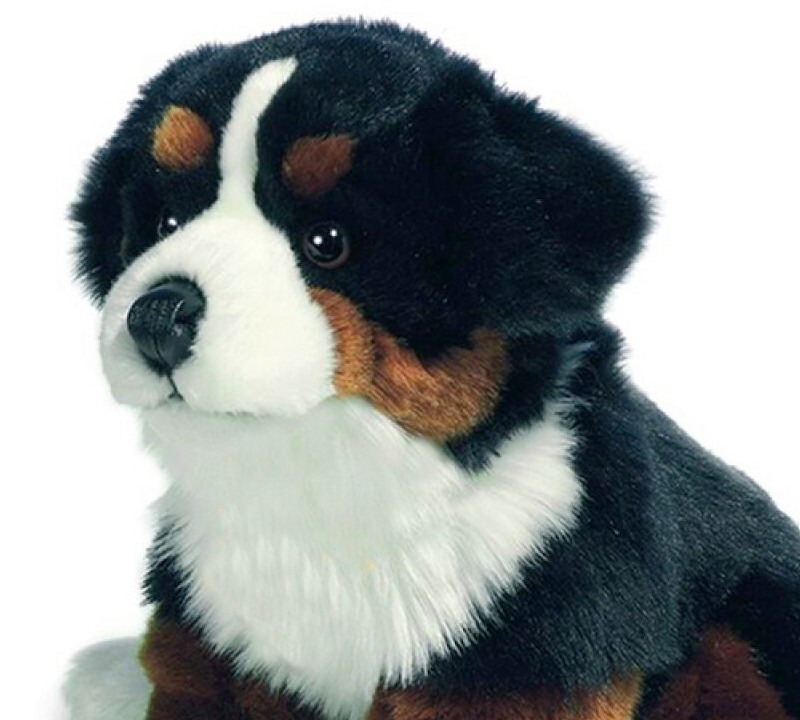 Adorables Peluches Bover de Berna 21 cm y 29 cm