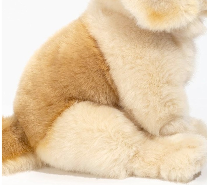 Parecen Peluches Perritos De Peluche PequeÃ±os Perro Grande Perro