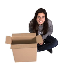 Caja de carton canal simple 340x140x415mm