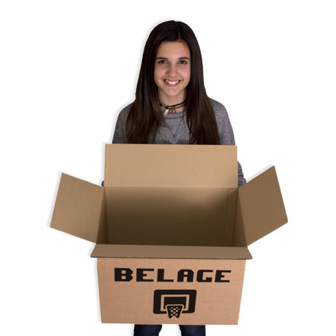 Caja de Embalaje Personalizada 425X275X325MM 