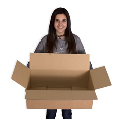 Caja de carton canal simple 550x300x200mm
