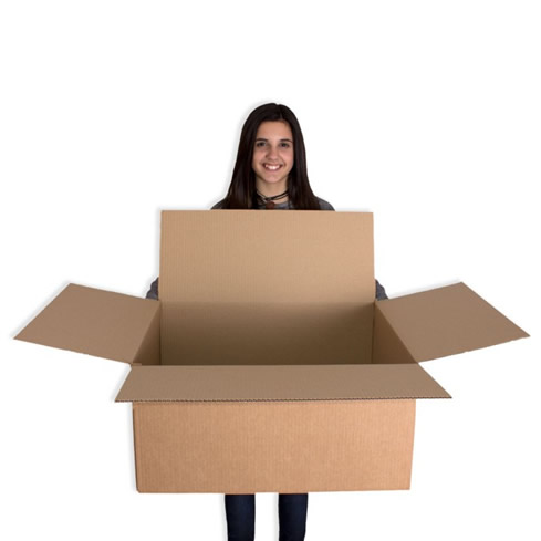 Caja de carton canal simple 600x500x300mm