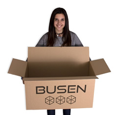 Caja de Embalaje Personalizada 630X300X350MM