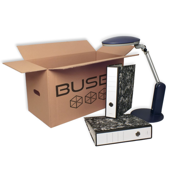 Caja de Embalaje 630 x 300 x 350 mm
