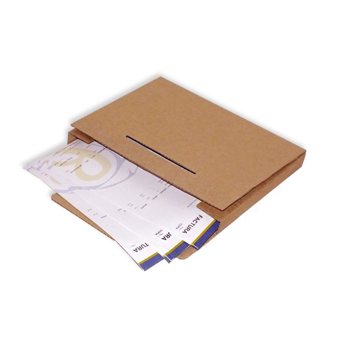 Cajas carpeta