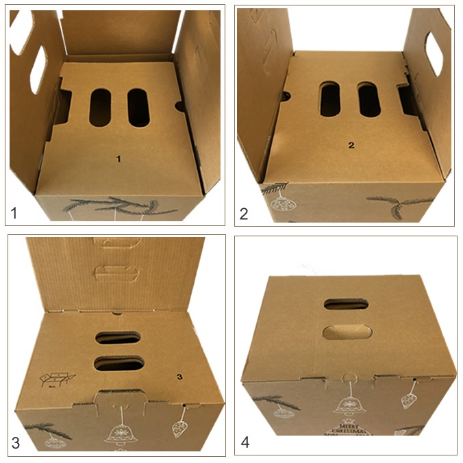 Cajas de Navidad 4 botellas + Lote - Eco