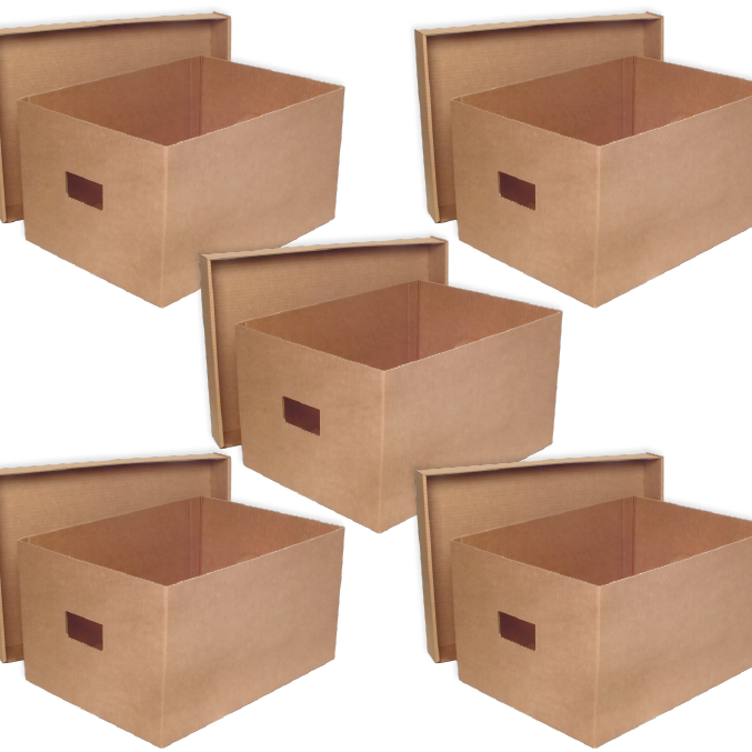Pack 40 Cajas de Cartón Canal Simple
