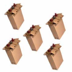 Pack 45 Cajas para envío 3 botellas con estructuras protectoras