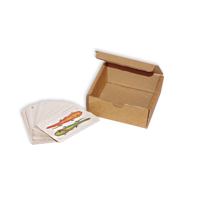 Muestras de caja envío postal  095 x 095 x 045 mm