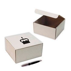 Cajas personalizadas de 170 x 165 x 092 mm