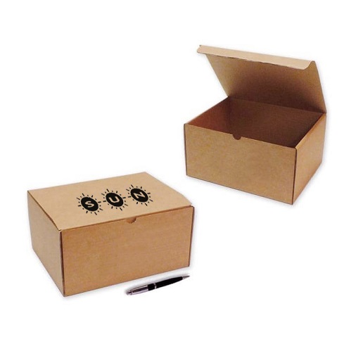 Cajas personalizadas de 250 x 205 x 130 mm