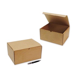 Caja para envíos 250x205x130mm