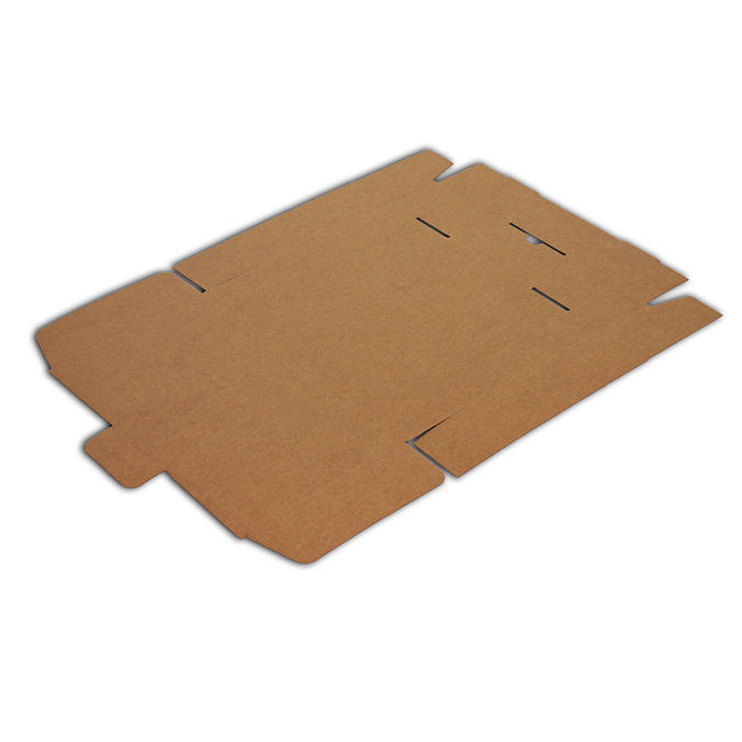 Cajas personalizadas de 295 x 170 x 060 mm