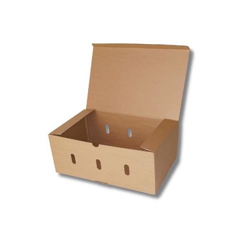 Caja de cartón para envío de fruta 400x300x170mm