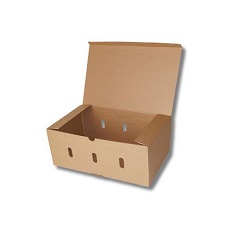 Caja de cartón para envío de fruta 400x300x170mm