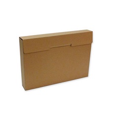 Caja carpeta 375x260x050mm