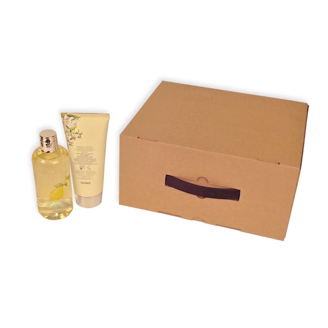 Caja maletín con asa de plástico 280 x 130 x 234 mm
