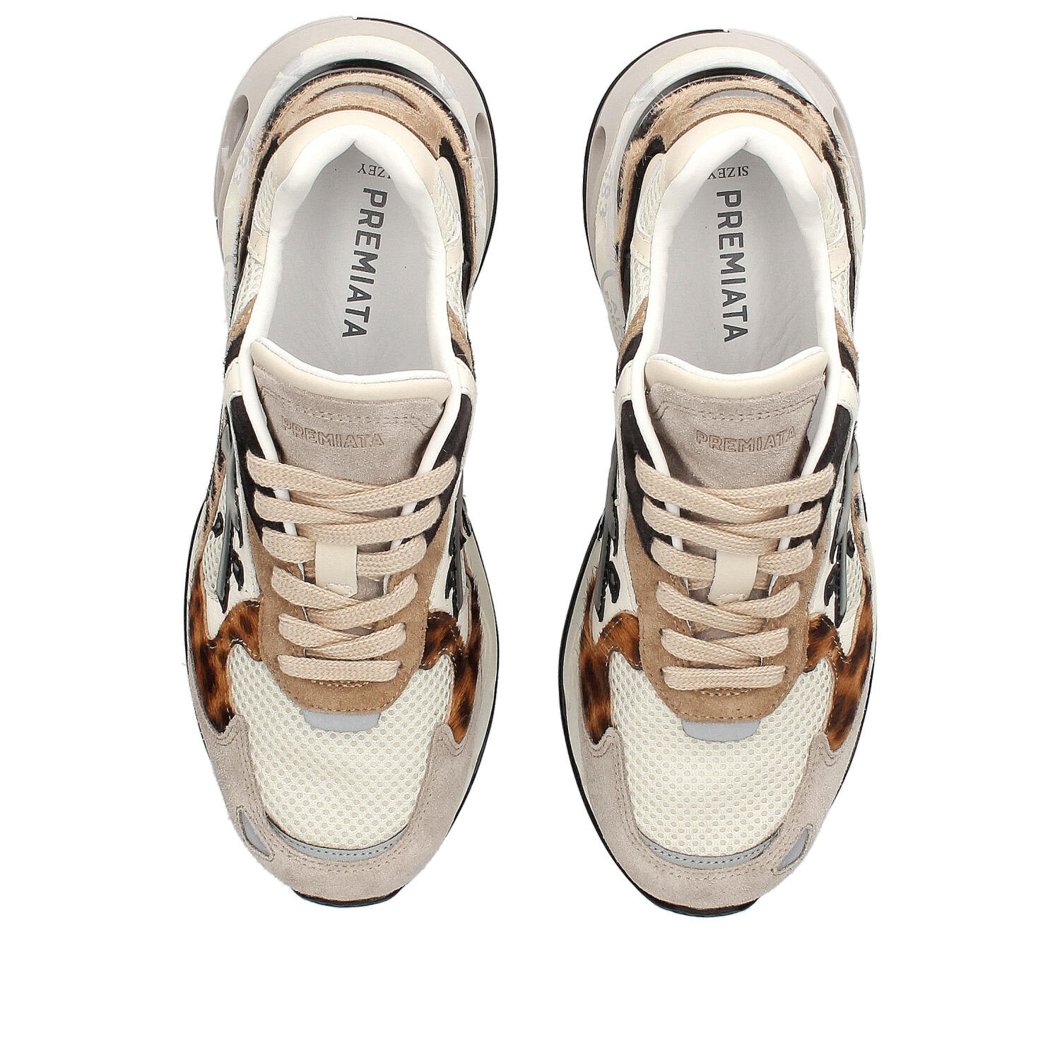 Premiata Sharkyd 425 Brown Sneaker | Tascón Barcelona