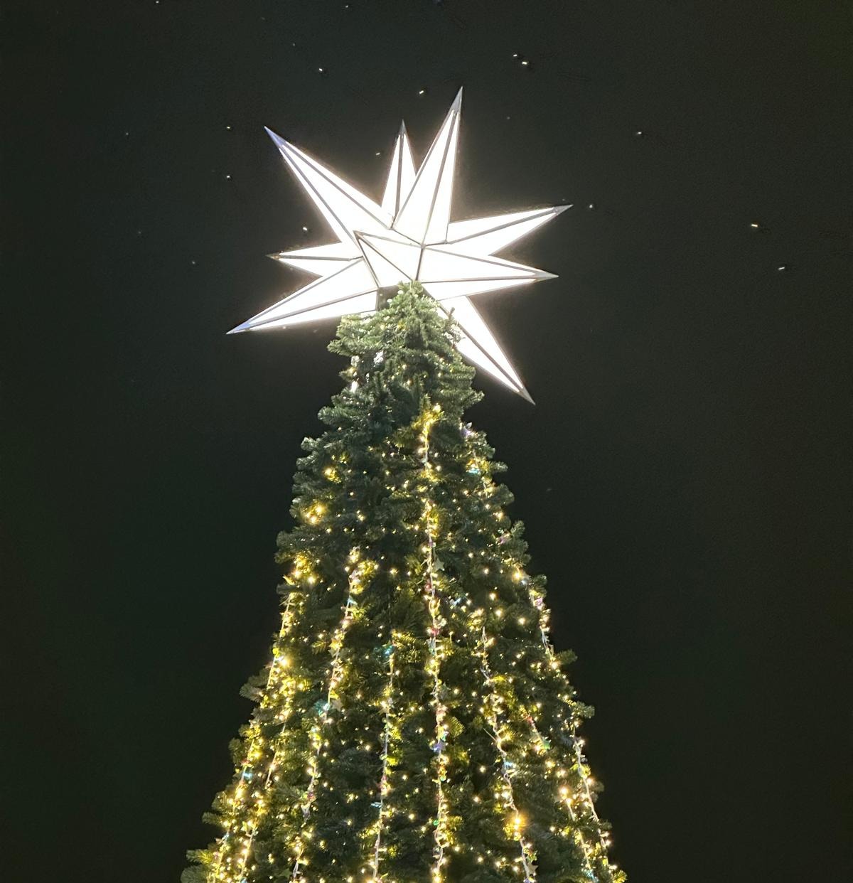Primer plano de la estrella de Gaud&iacute; iluminando la parte superior del &aacute;rbol navide&ntilde;o.