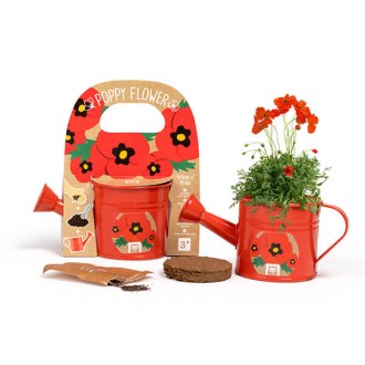 Watering can for growing poppy seeds